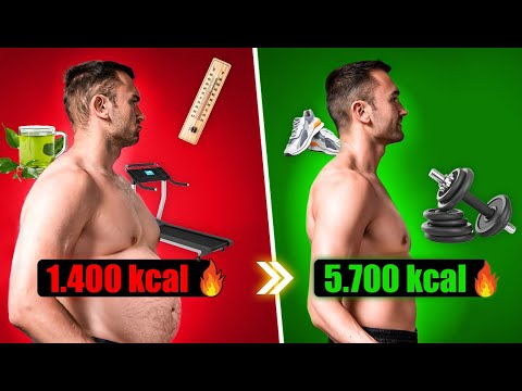 Stoffwechsel ankurbeln: 13 Tipps im Härtetest – Was klappt wirklich?