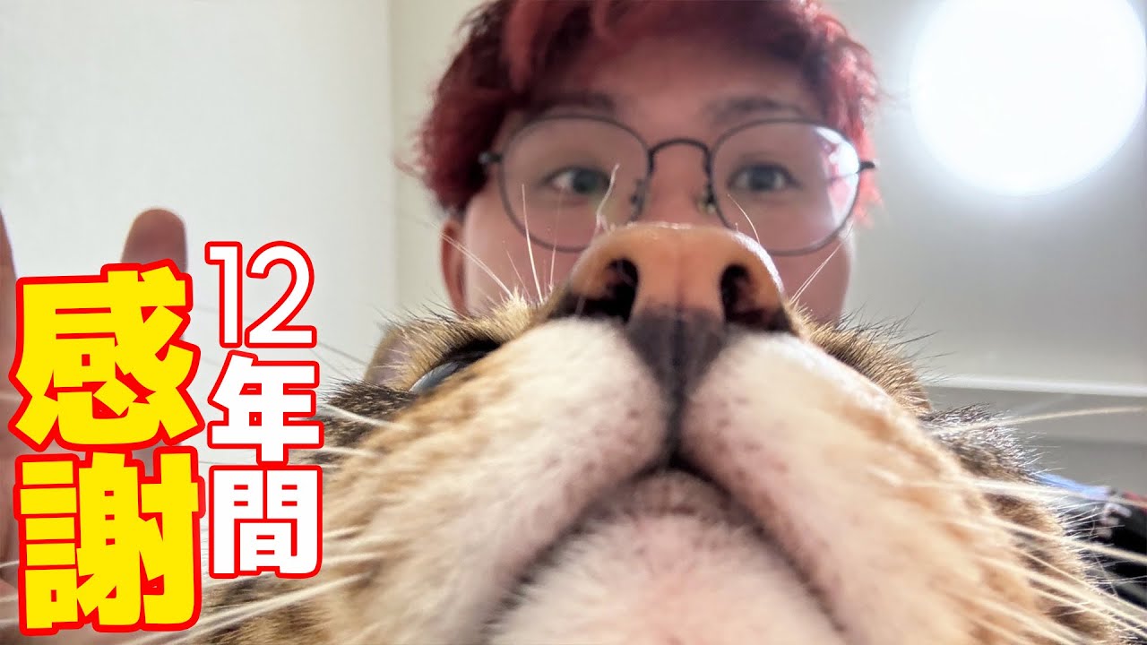 インターネット活動12周年だそうなので酒を飲みます【ニコニコ老人】