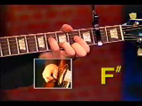 ¡Jim Morrison está vivo!