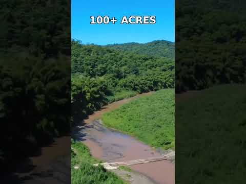 100+ Acres With a River in Puerto Rico 🇵🇷 | San Sebastián
