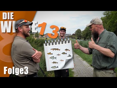 Who fills up all the fish species? THE WILD 13, Season 2, Episode 3