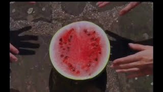 no vacation - lovefool