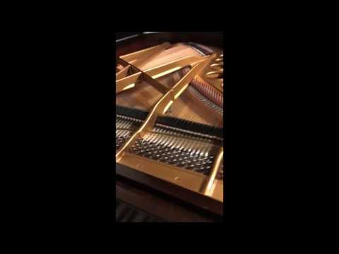 What a Bösendorfer looks/sounds like