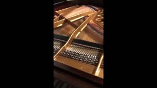 What a Bösendorfer looks/sounds like