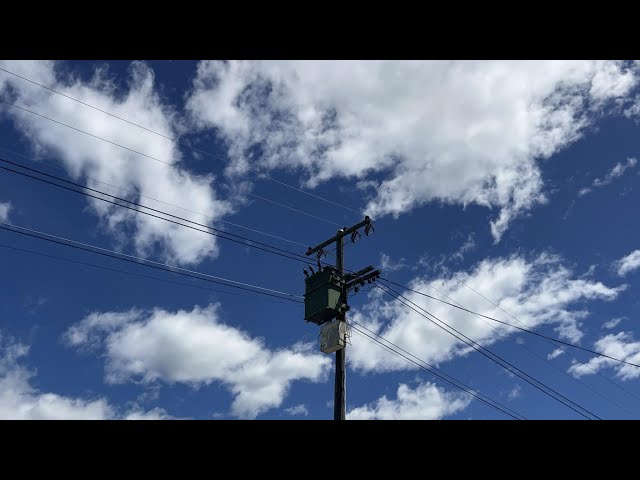 A Suburban Drone (NZ short film)