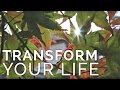 Transform Your Life Matrixx