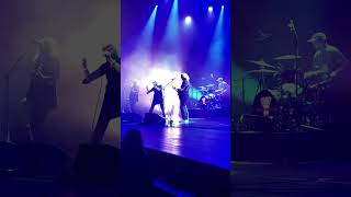 Magnapop - Garden - De Roma - Antwerp