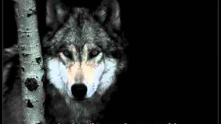 Catamenia - Gallery of Fear (subtitulada español)