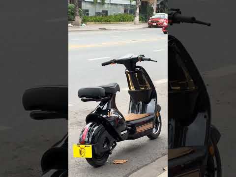 Xe điện Dylexe MK6