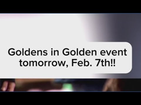 Thousands of Golden Retrievers heading to Golden this weekend - YouTube