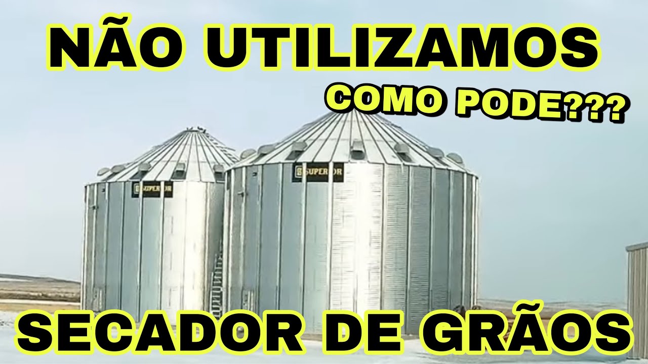 NÃO TEMOS SECADOR DE GRÃOS - COMO NÓS ARMAZENAMOS NOSSO GRÃO SEM PASSAR PELO SECADOR