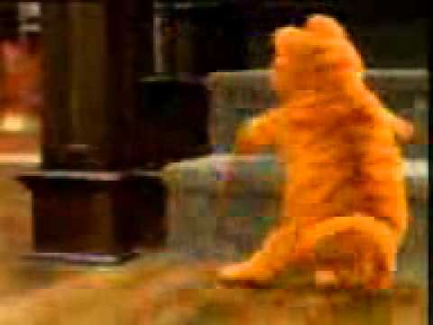 cat and dog funny dance form:swapnil bhagat