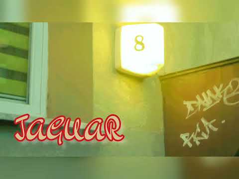 WAMPIR PZL - CHARAKTERNY KOT // PROD. Fat Cat Beats