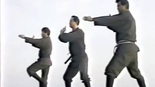 Kamae base del Gyokko Ryu