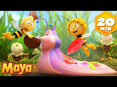 Maya Cares for Her Sick Friends in the Meadow   🐝 Maya The Bee| Cartoon and video for Kids