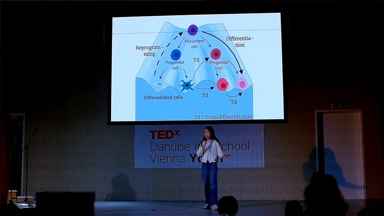 The Immortal Jellyfish | Olivia Lu | TEDxDanube Intl School Vienna Youth