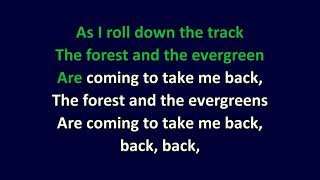 Cat Stevens - King Of Trees