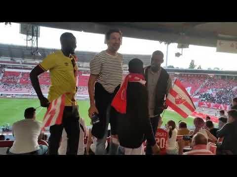 Crvena Zvezda Vojvodina navijačka podrška iz Afrike