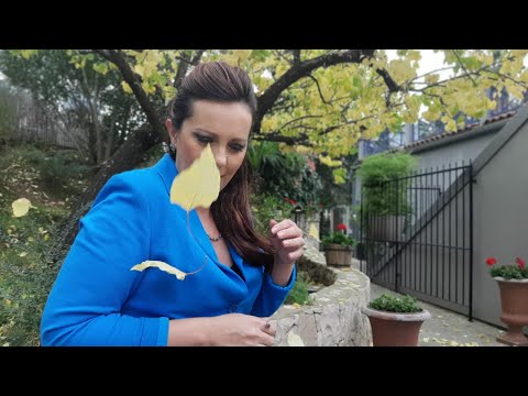 Vitrina e librit/ Ditë e re - Kopshtari i ëndrrave - 24 Nëntor 2021