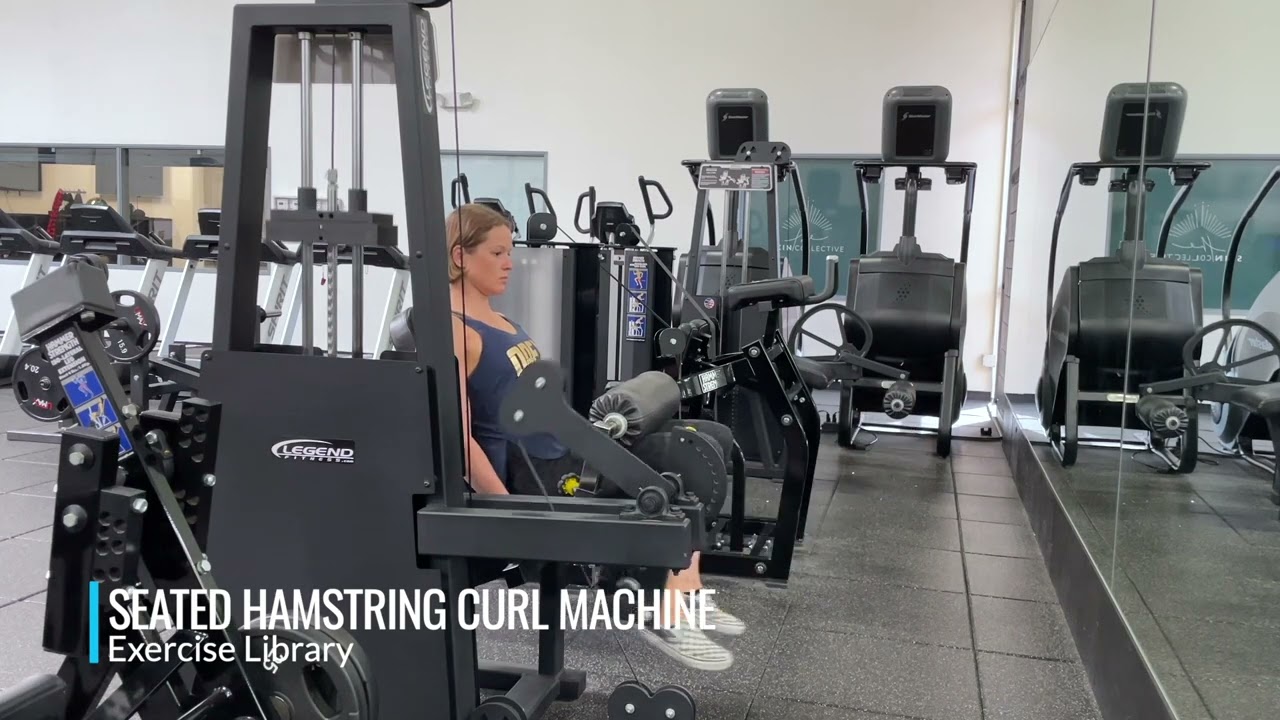 Seated Hamstring Curl Machine - YouTube