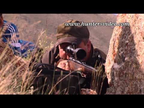 Jagd in Kasachstan und der Mongolei - Hunters Video