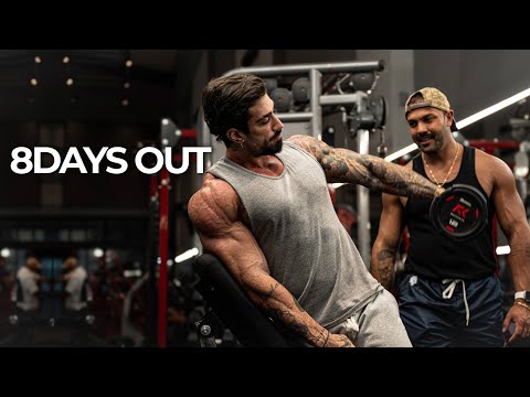 PEAK WEEK - BASA 8 DAYS OUT