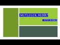 Mutluluk Nedir? (25.04.2024)