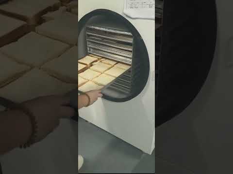 SJ-50H Bread Loading and Freeze-Drying Application Test video cover