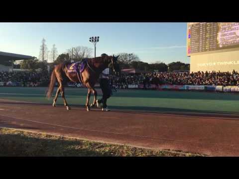 2016.12.29 大井🐎10R 第62回 東京大賞典（GI）パドック