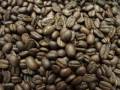 Babylon Zoo Caffeine 
