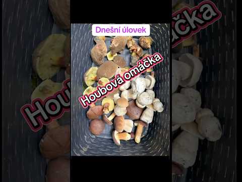 Houbová omáčka rychle a je výborná ????#jídlo #houby #reception #recept #dobroty