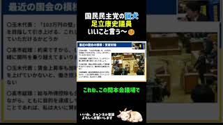 関所の通行手形ってなに？ #国民民主党 #足立康史 #伊藤孝恵 #山田ヨシヒコ