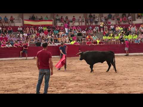 Capea del viernes de Corpus en Vitigudino