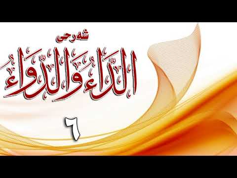 وانەی شەشەم