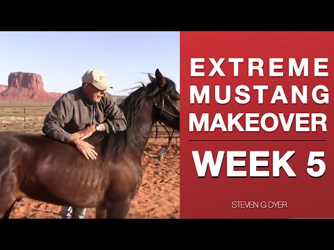 Wild Mustang Challenge Week 5 Extreme Mustang Makeover 2017 (Pt. 4 of 14)