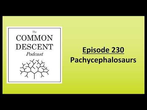 Episode 230 - Pachycephalosaurs