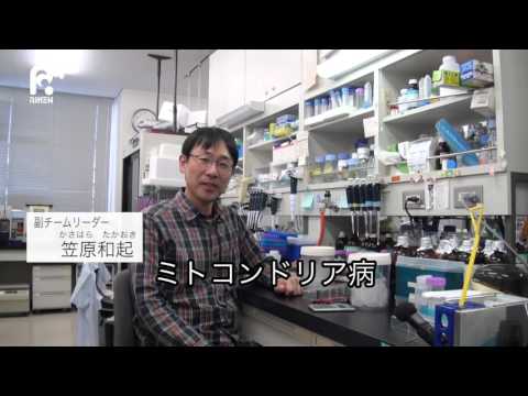 60秒でわかるモデルマウス サムネイル