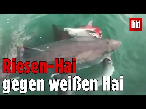 Brust-Herpes Wie wird man den Schmerz des Bandscheibenbruches ohne Operation loswerden