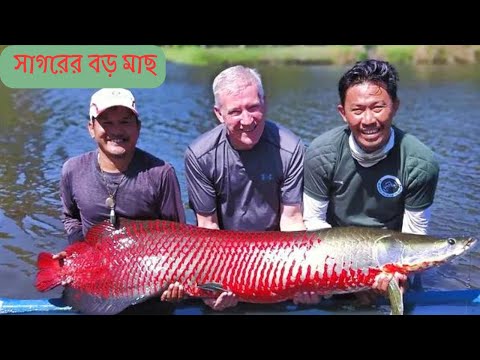 Amazing Fastest Giant Bluefin Tuna and Swordfish Fishing skill   Most Satisfying Sea Fishing Videos