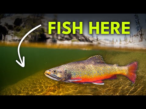 How To Find Trout In A River — Runs 101 | Episode 26