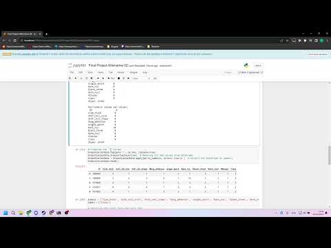 Applied Data Science - Final Project - Rauny Martinelli & Lucas Furtado