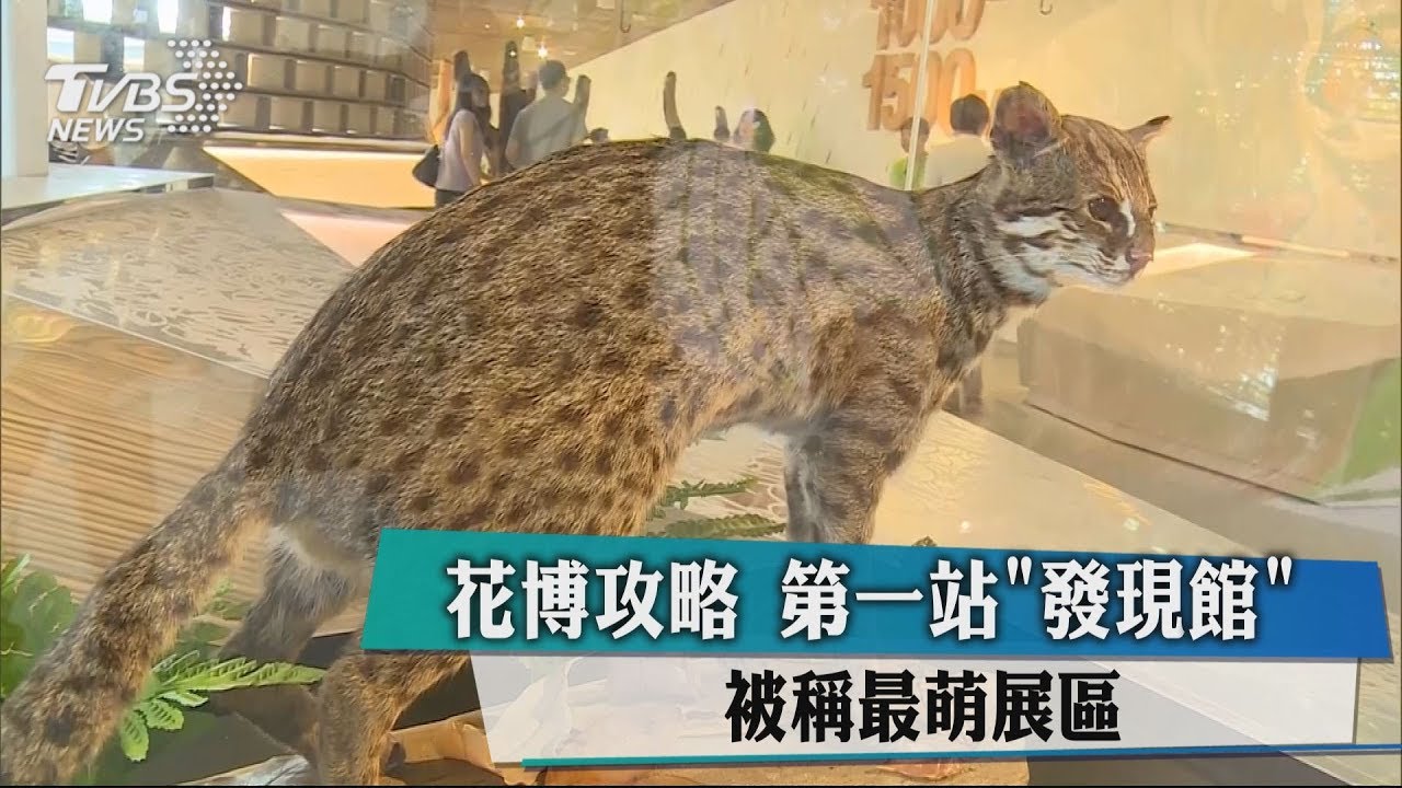 花博攻略第一站「發現館」 被稱最萌展區