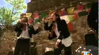 borracho genitallica