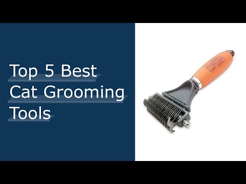 Top #5 Best Cat Grooming Tools Reviews For You