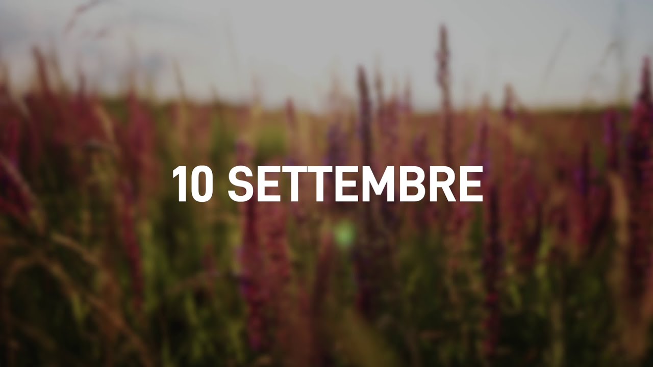 10 Settembre 2025 | Meditazione Parole di Vita