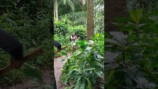 Download lagu Behind The Scene of SOCHIMA 2022 NEW NIGERIAN NOLLYWOOD MOVIE mp3