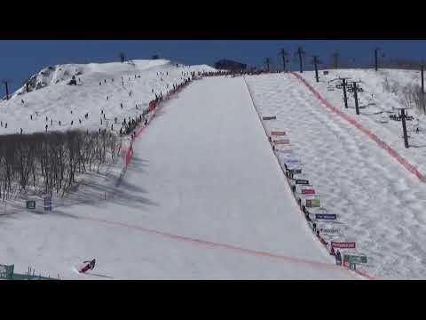 FREE RUN 2/6 : All Japan Ski Technique Championship 2019 - Semifinal