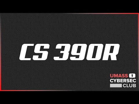 390R 13. Dynamic Program Analysis (Intel Pin & Taint Analysis)