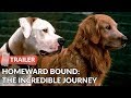 Homeward Bound The Incredible Journey 1993 Trailer HD Michael J Fox Sally Field