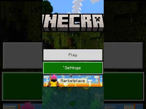 you can't play multiplayer in Minecraft